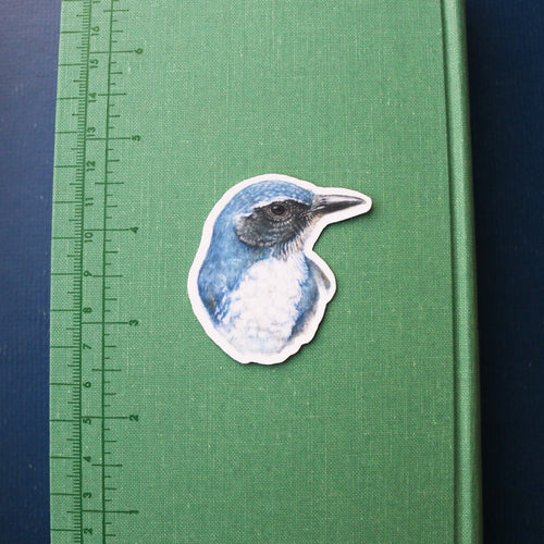 Load image 1 in gallery view. Corvids Vinyl Stickers: Scrub Jay, Yellow Billed Magpie, Steller's Jay