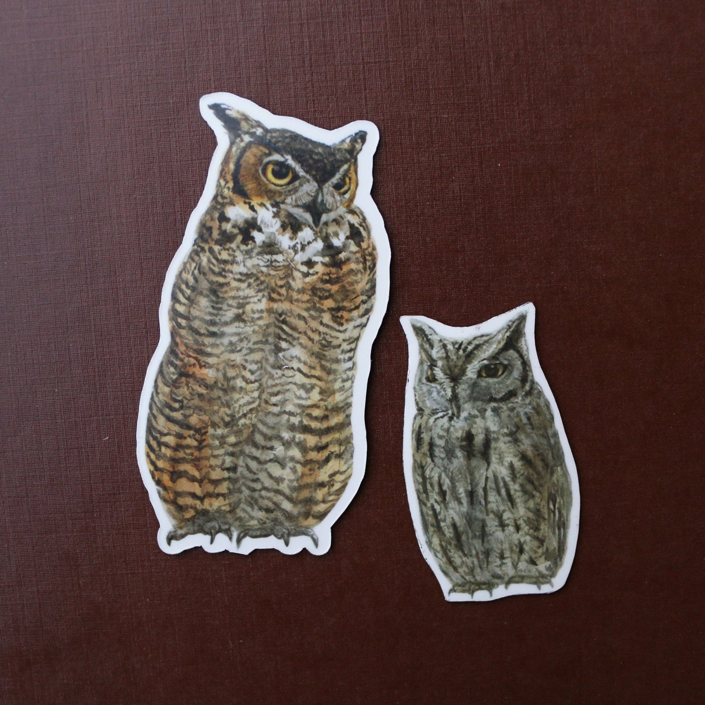 Owls Vinyl Stickers: Great Horned Owl, Western Screech Owl