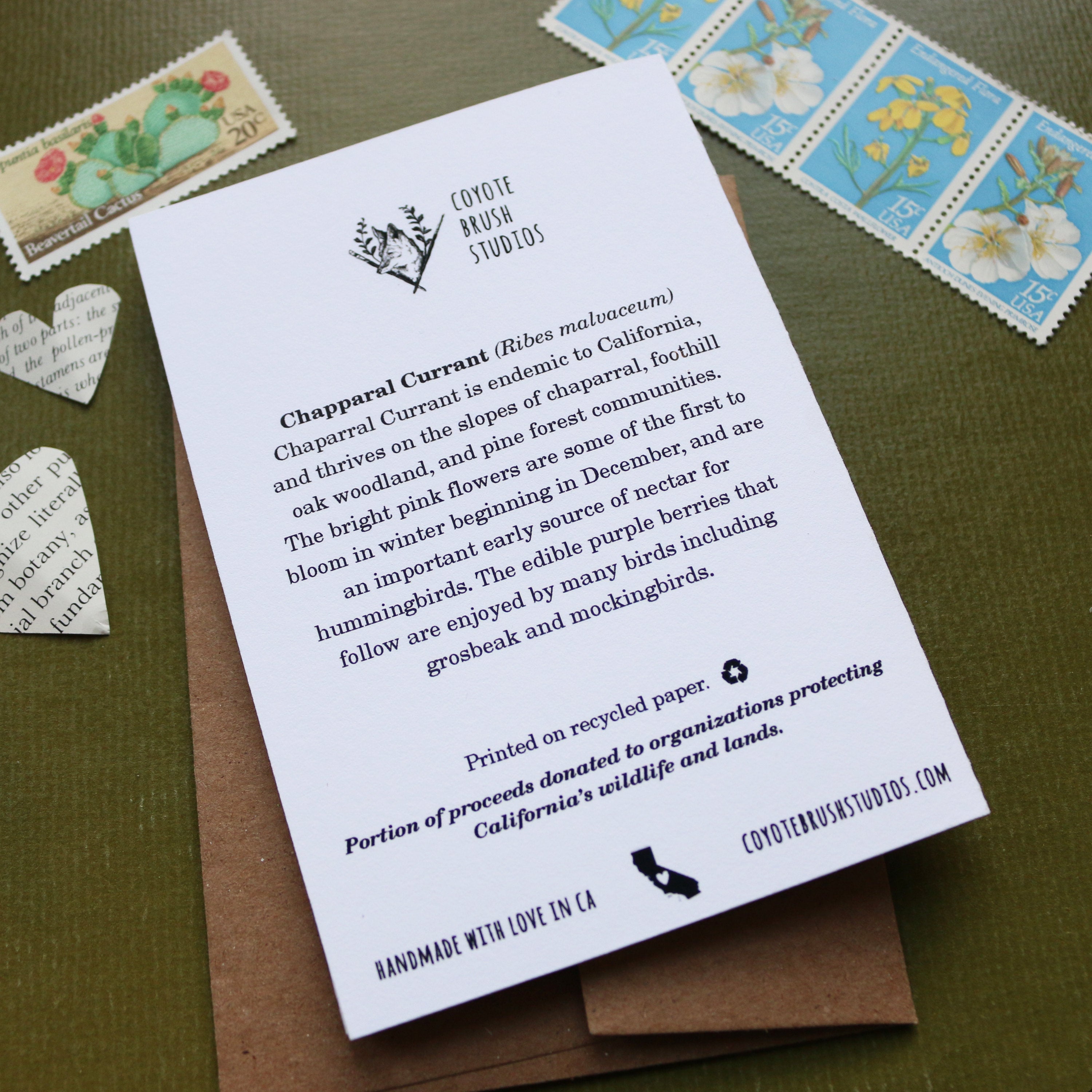 Currantly Thinking Of You Greeting Card, pun valentine's day card, plant card, currant, friendship card