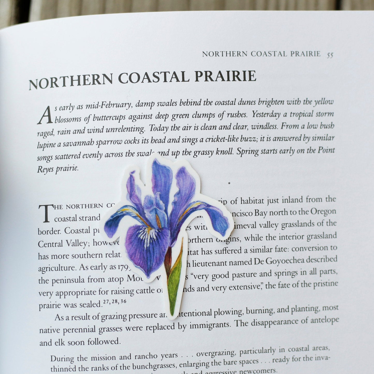 Point Reyes Vinyl Stickers: Douglas Iris, Elephant Seal, Tule Elk