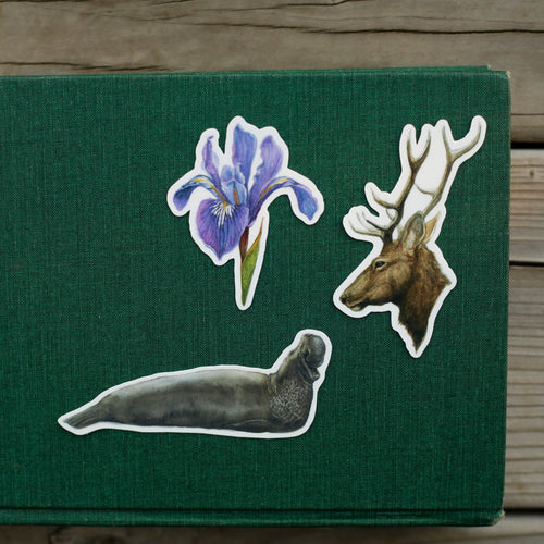 Load image 1 in gallery view. Point Reyes Vinyl Stickers: Douglas Iris, Elephant Seal, Tule Elk