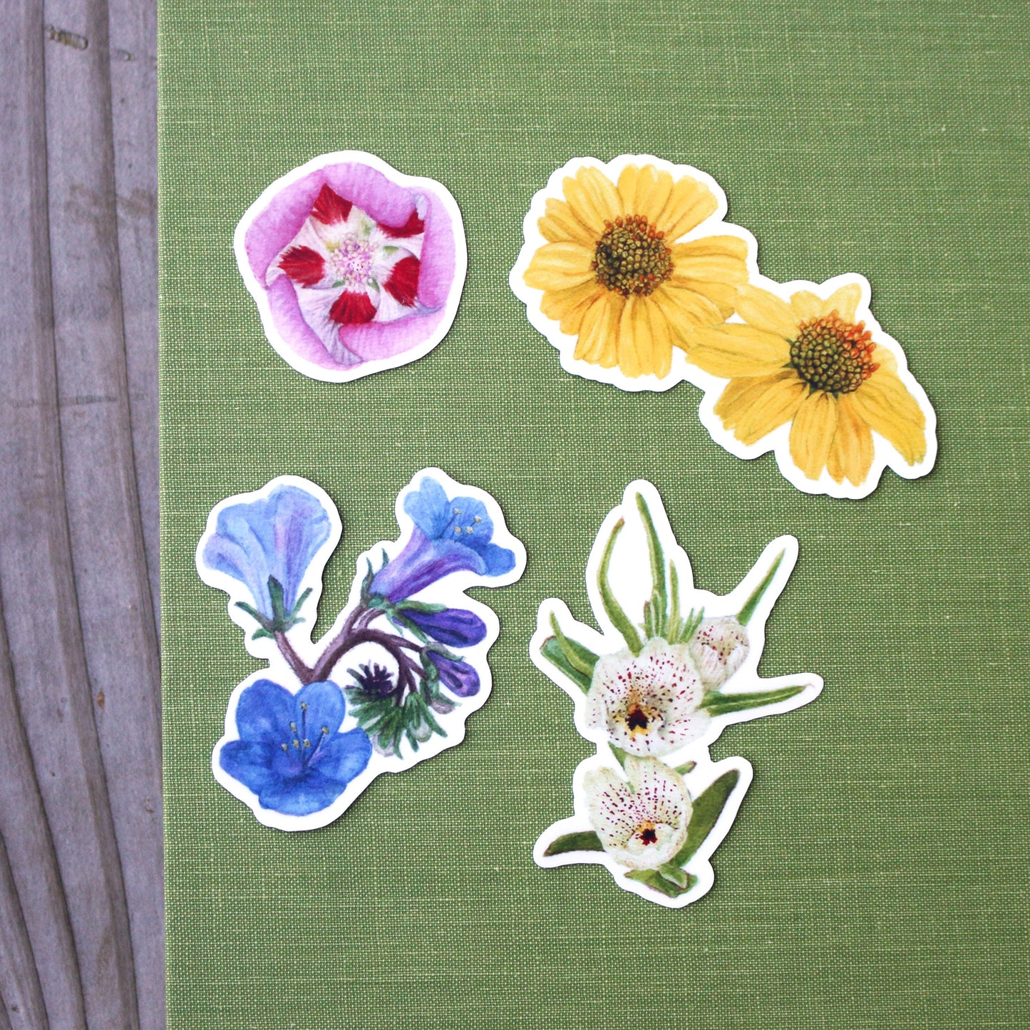 Desert Wildflowers Vinyl Stickers: Desert Fivespot, Brittlebush, Desert Bluebells, Ghostflower