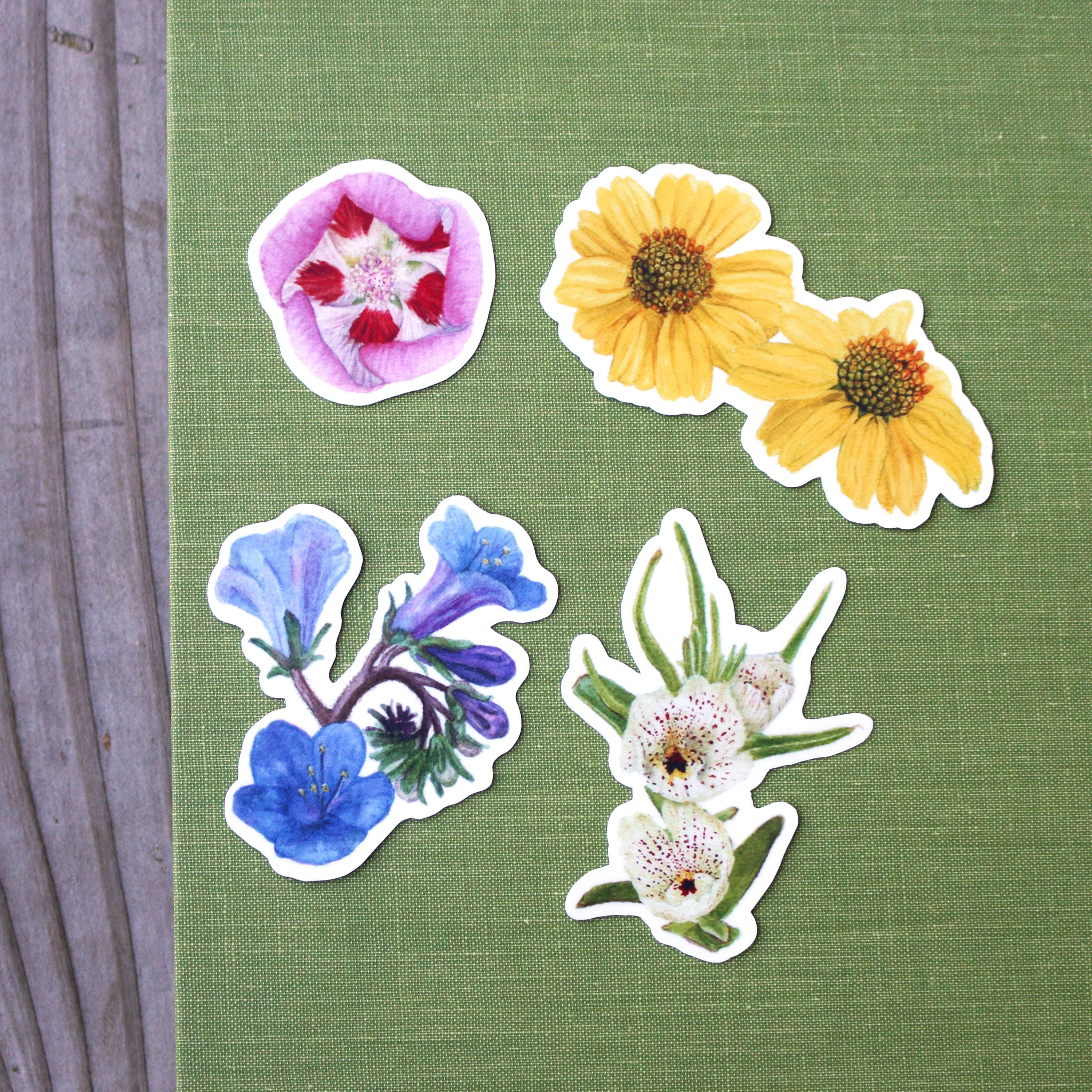 Desert Wildflowers Vinyl Stickers: Desert Fivespot, Brittlebush, Desert Bluebells, Ghostflower