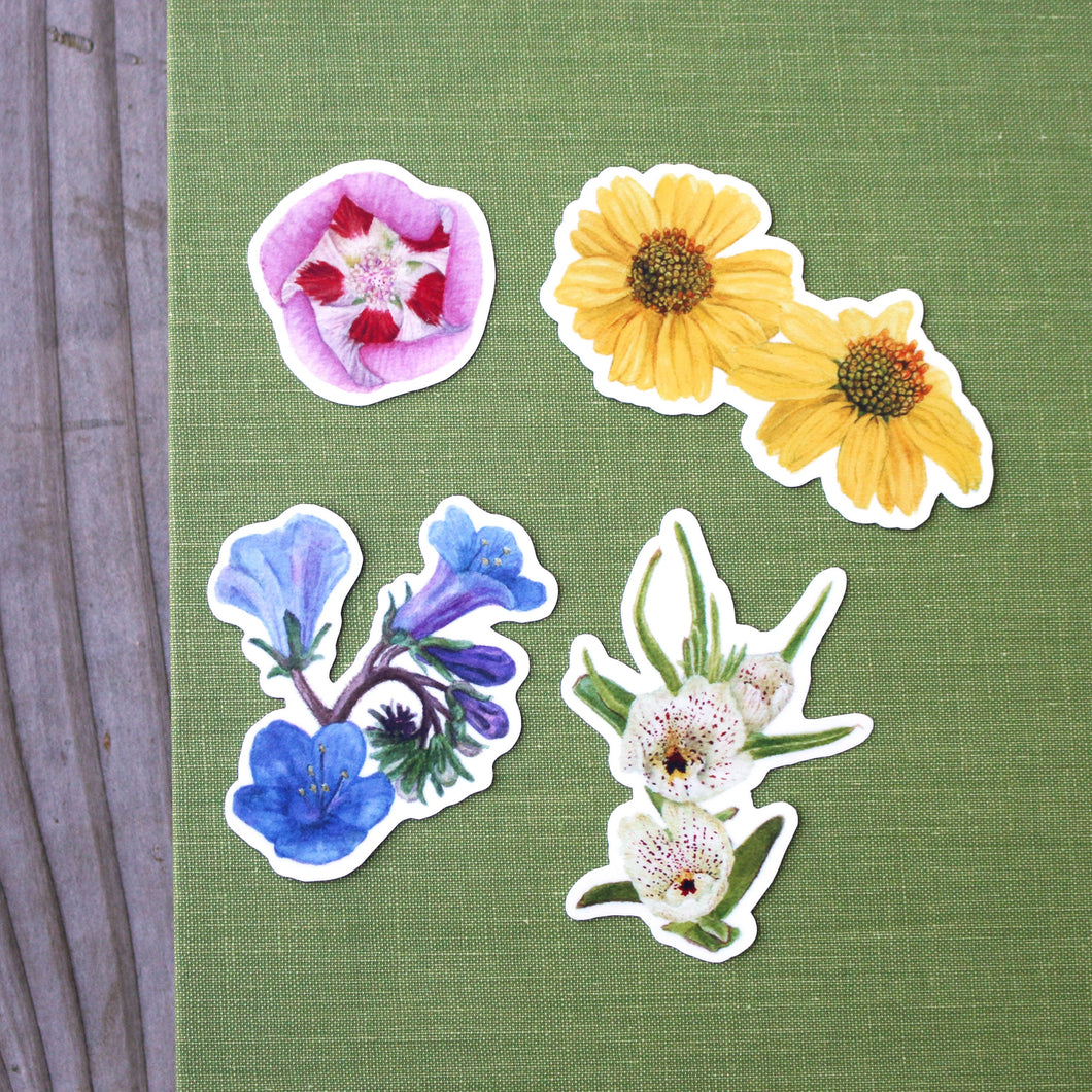 Desert Wildflowers Stickers: Desert Fivespot - Brittlebush - Desert Bluebells - Ghostflower -Four California Superbloom Vinyl Stickers