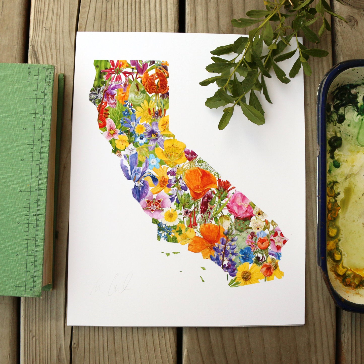 California Wildflowers watercolor painting art print native California 8x10