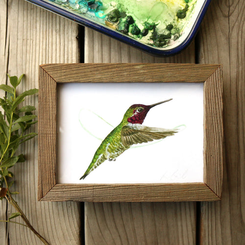 Load image 1 in gallery view. Hummingbird watercolor painting art print framed, native California 5x7