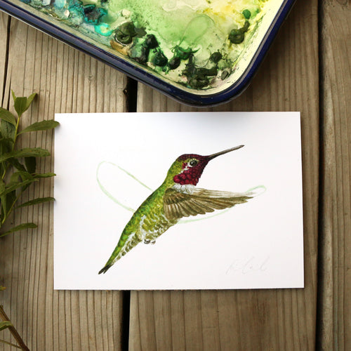 Load image 1 in gallery view. Hummingbird watercolor painting art print, native California 5x7