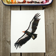 California Condor watercolor painting art print native California 8x10