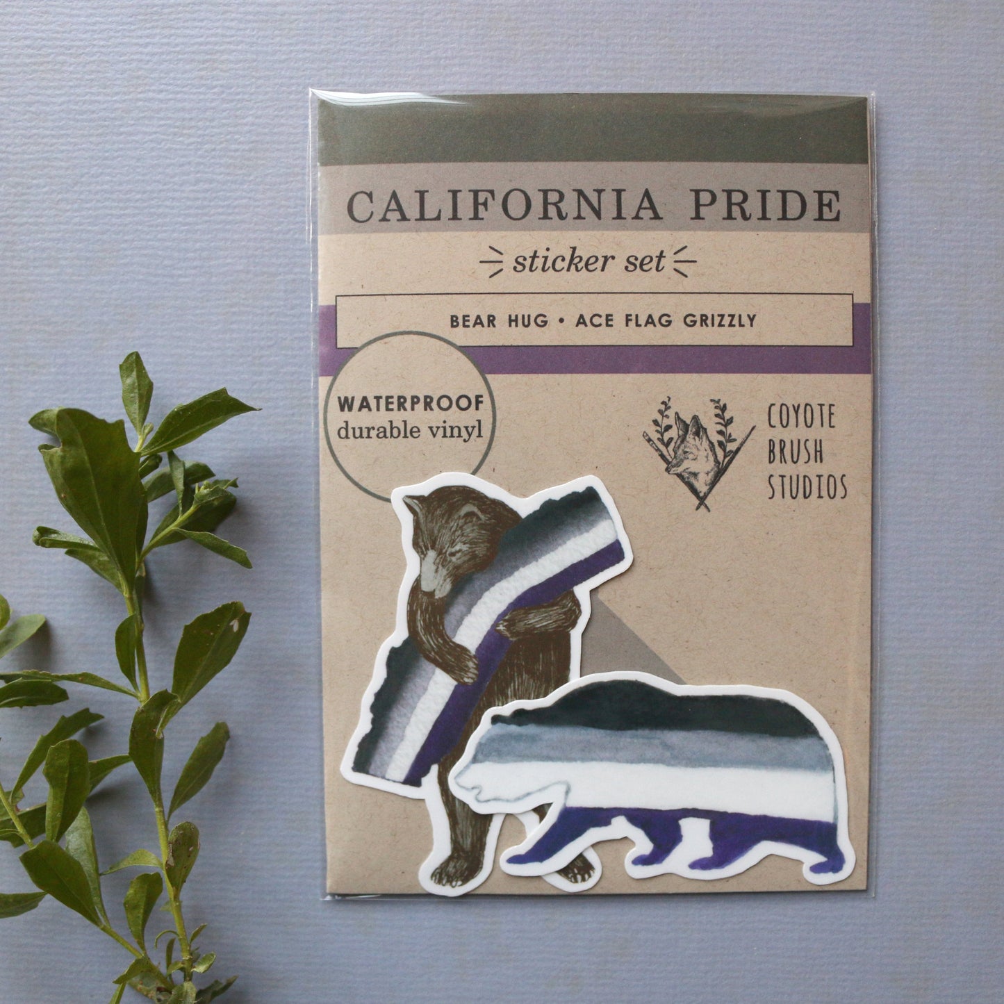 Asexual CA Pride Vinyl Stickers: Ace Flag Bears