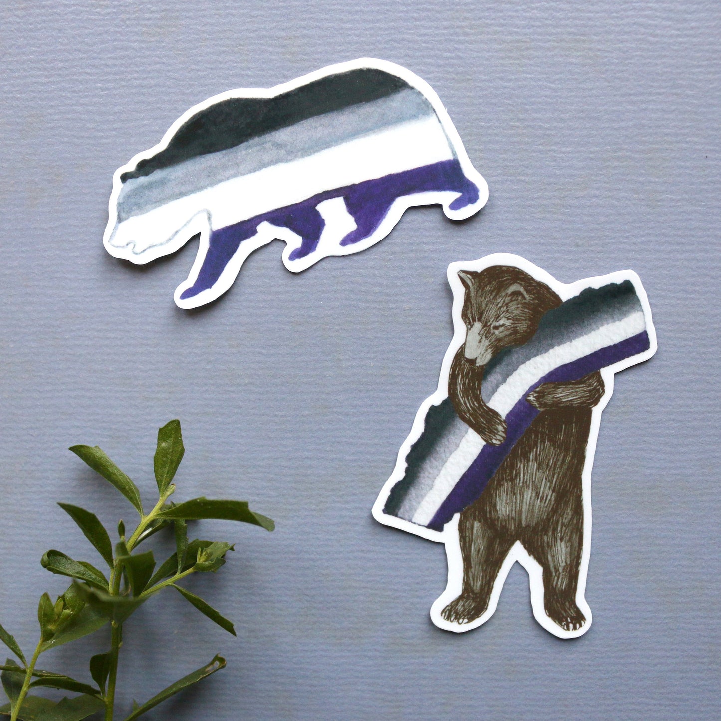 Asexual CA Pride Vinyl Stickers: Ace Flag Bears