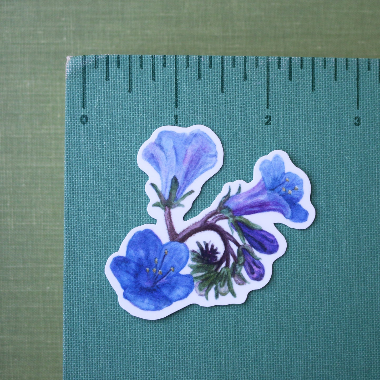 Desert Wildflowers Vinyl Stickers: Desert Fivespot, Brittlebush, Desert Bluebells, Ghostflower