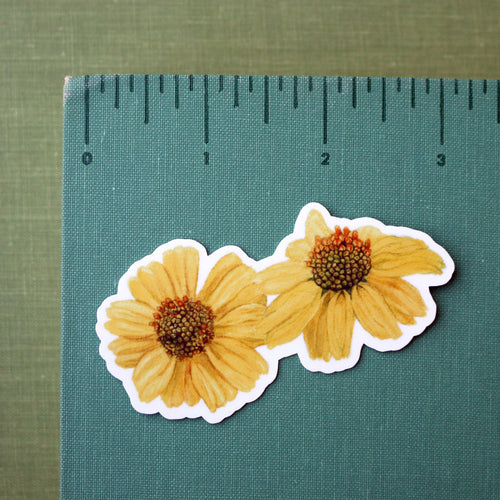 Load image 1 in gallery view. Desert Wildflowers Vinyl Stickers: Desert Fivespot, Brittlebush, Desert Bluebells, Ghostflower