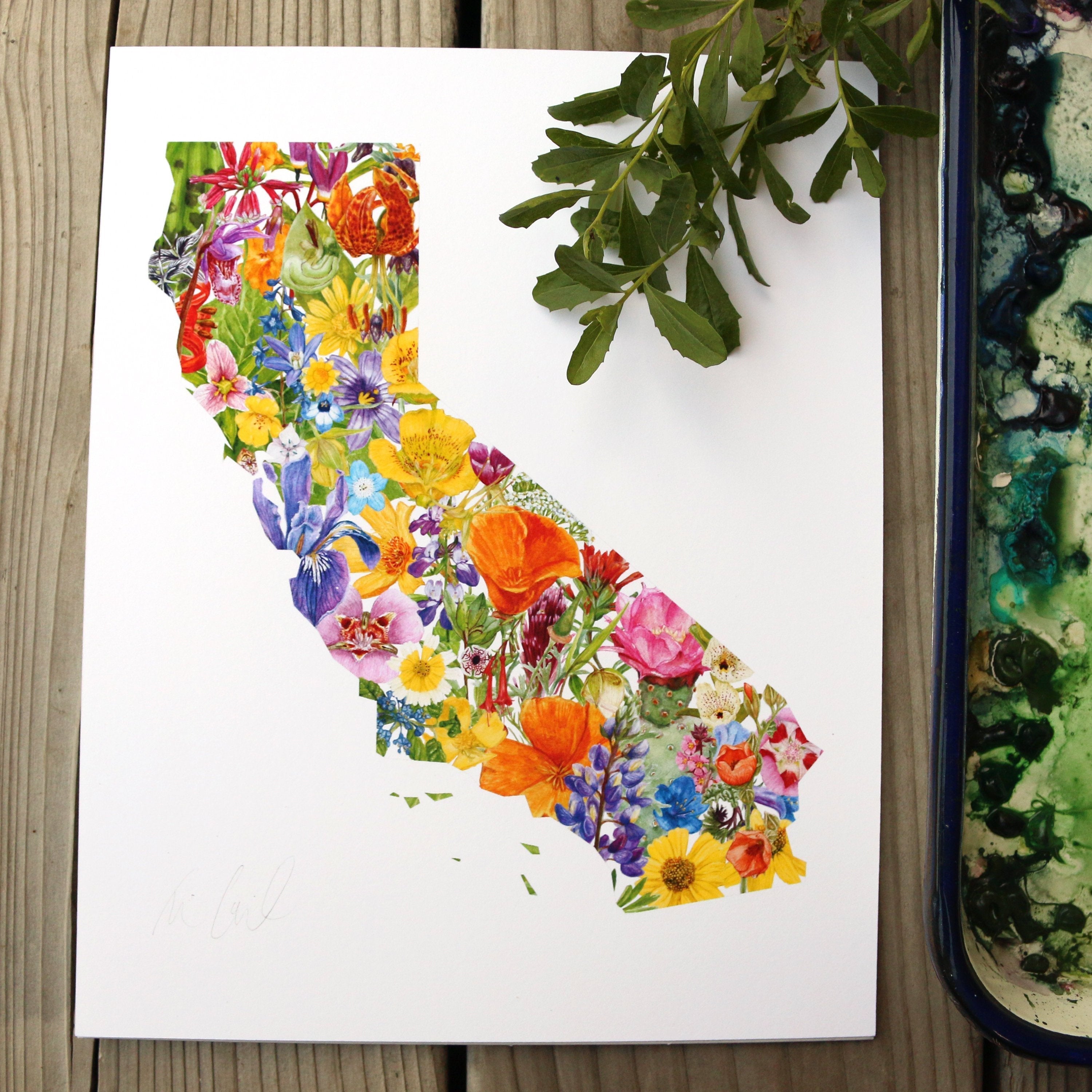 California Wildflowers watercolor painting art print native California 8x10