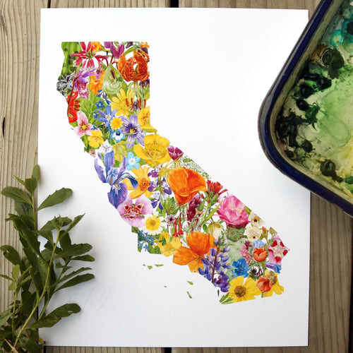 California Wildflowers watercolor painting art print native California 8x10