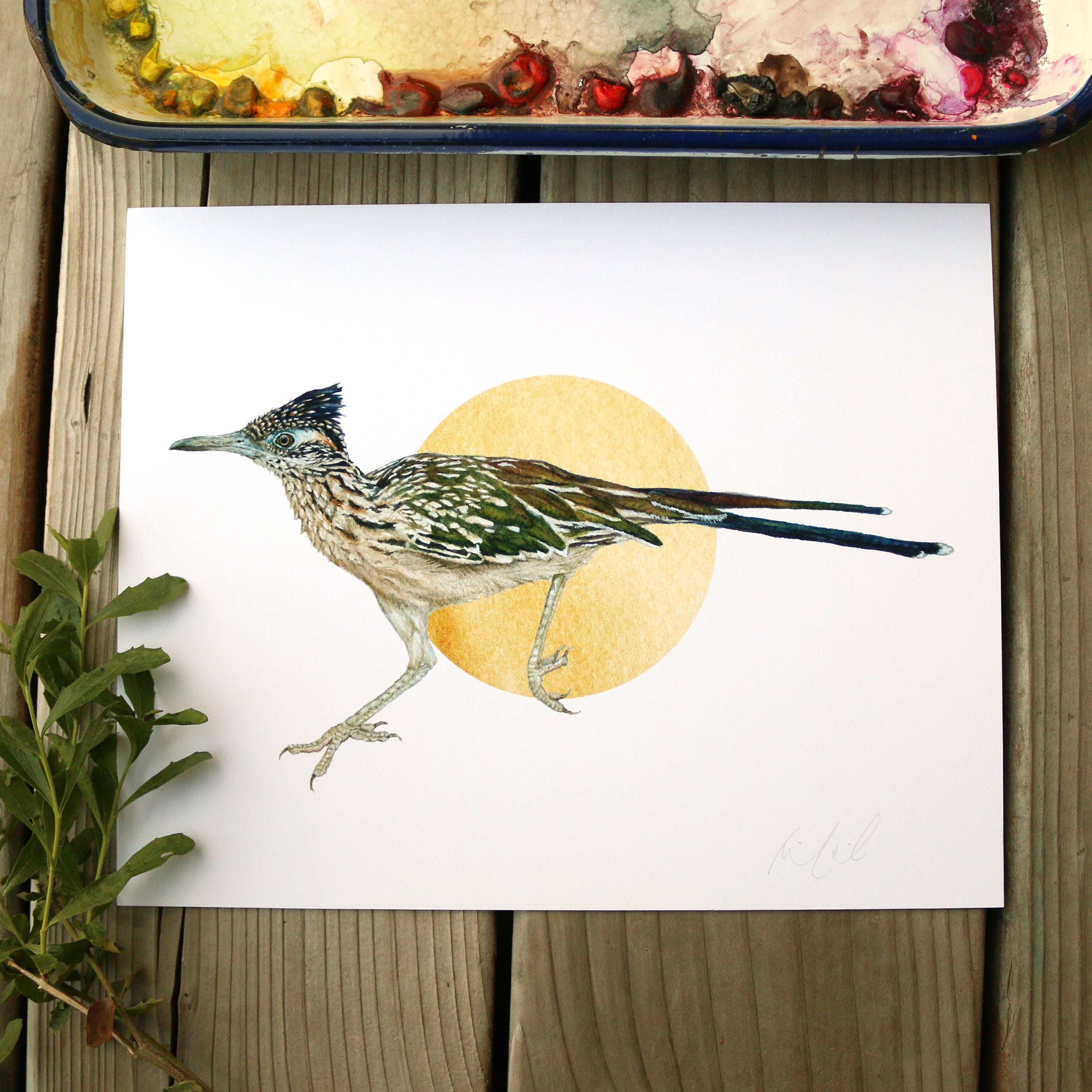 Greater Roadrunner watercolor painting art print native California 8x10