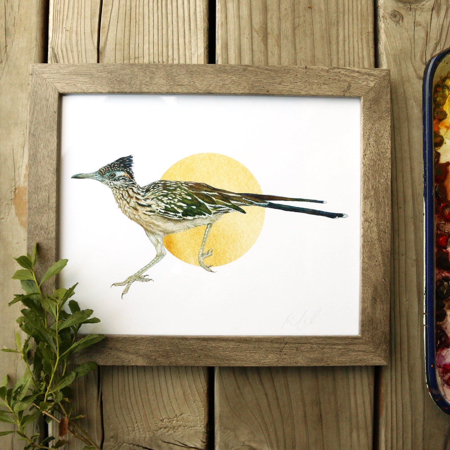 Greater Roadrunner watercolor painting art print framed native California 8x10