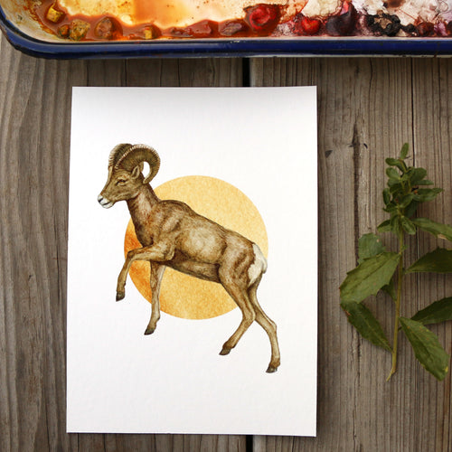 Load image 1 in gallery view. Desert Bighorn Sheep watercolor painting art print native California 5x7