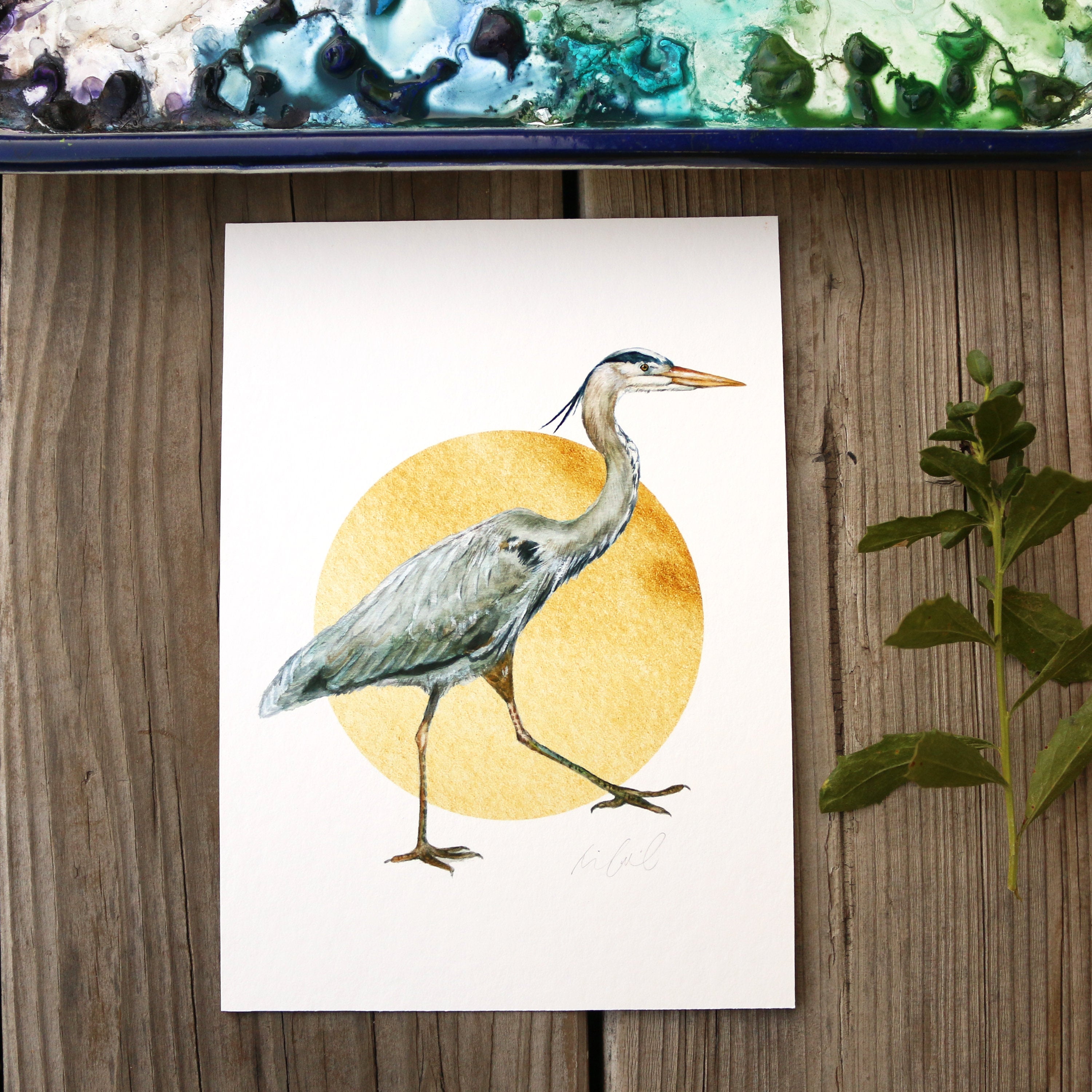 Great Blue Heron  watercolor painting art print native California 5x7