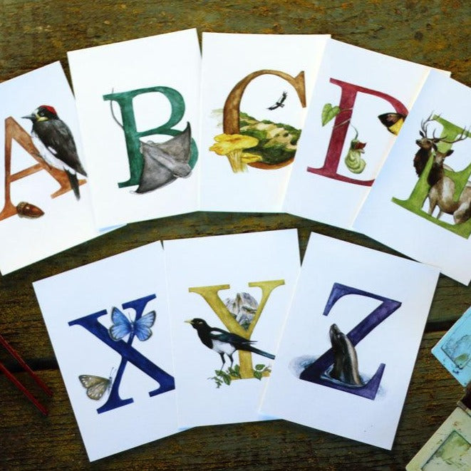California Alphabet Letter Prints – Coyote Brush Studios