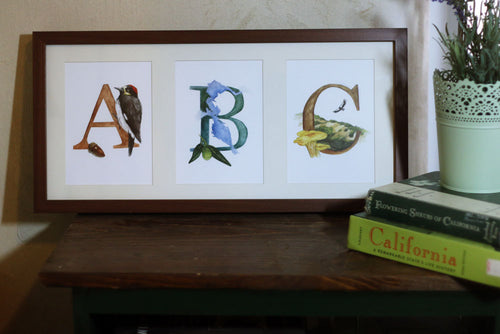 Load image 1 in gallery view. California Alphabet Letter Prints