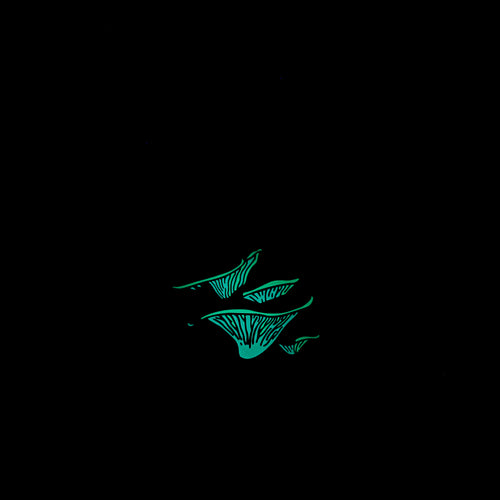 Load image 1 in gallery view. Western Jack-O'-Lantern Mushroom Glow in the Dark Enamel Pin