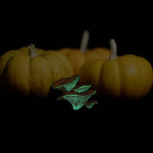 Load image 1 in gallery view. Western Jack-O'-Lantern Mushroom Glow in the Dark Enamel Pin