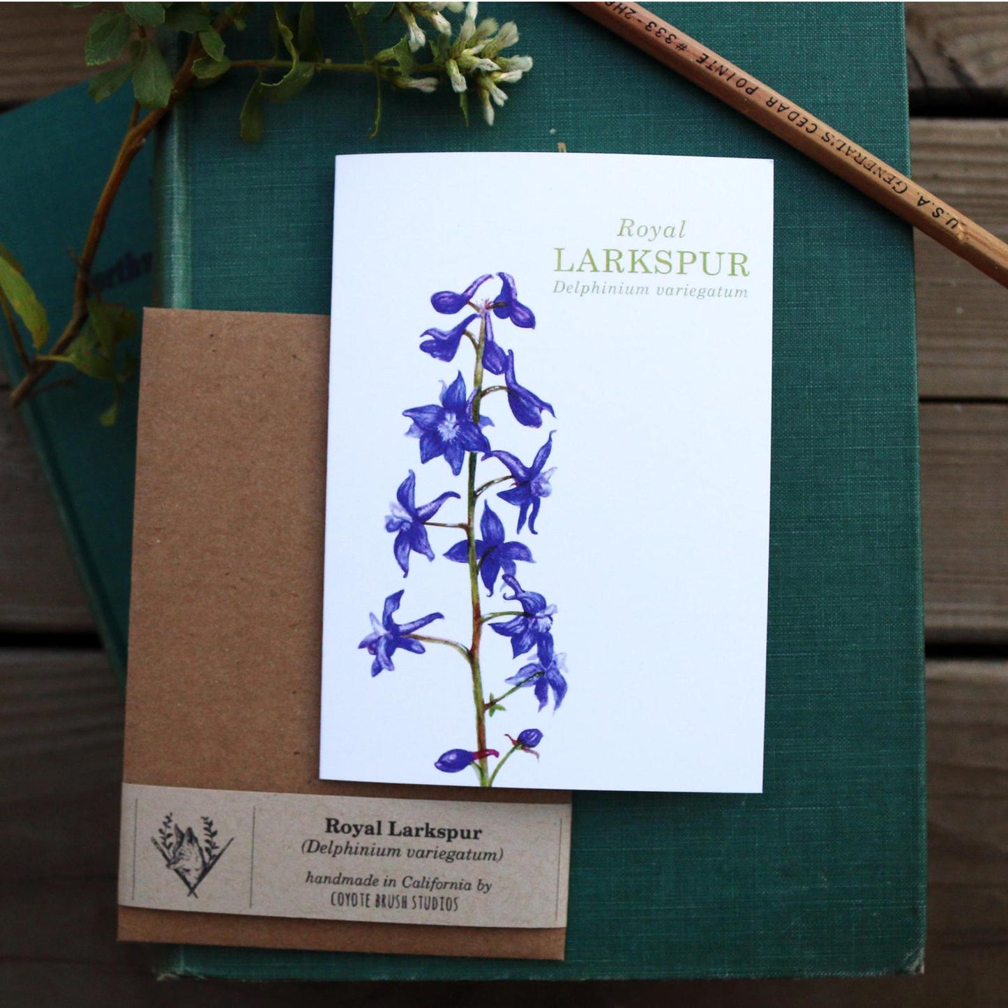 Set of 8 Wildflower Cards - Poppy, Lupine, Larkspur, Indian Paintbrush, Mariposa Lily, Pipevine, Humboldt Lily, Calypso Orchid