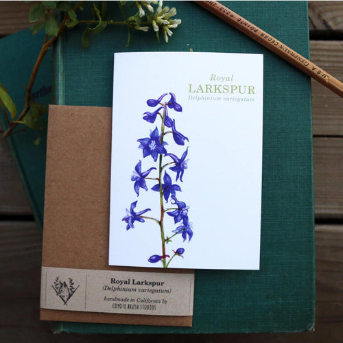 Load image 1 in gallery view. Set of 8 Wildflower Cards - Poppy, Lupine, Larkspur, Indian Paintbrush, Mariposa Lily, Pipevine, Humboldt Lily, Calypso Orchid