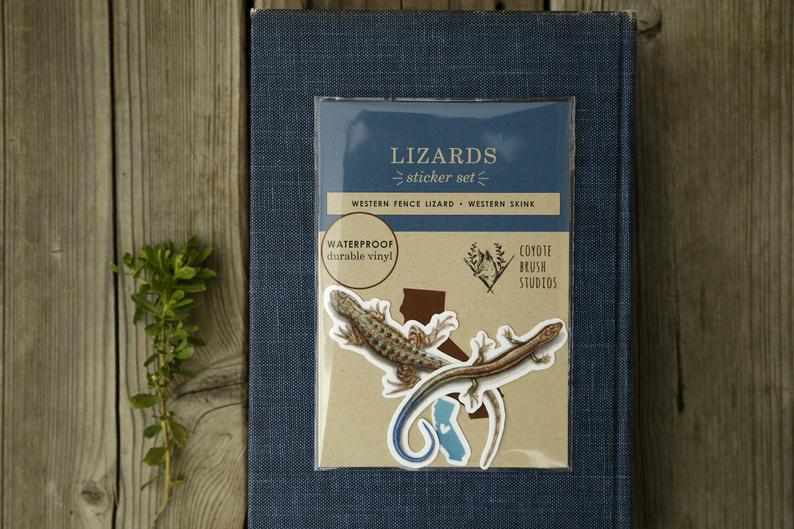Lizards of California Vinyl Stickers: Western Skink and Coast Fence Lizard