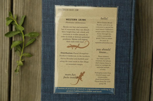 Load image 1 in gallery view. Lizards of California Vinyl Stickers: Western Skink and Coast Fence Lizard