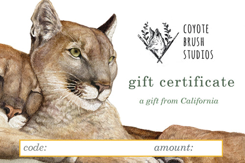 Load image 1 in gallery view. Coyote Brush Studios Digital Gift Certificate
