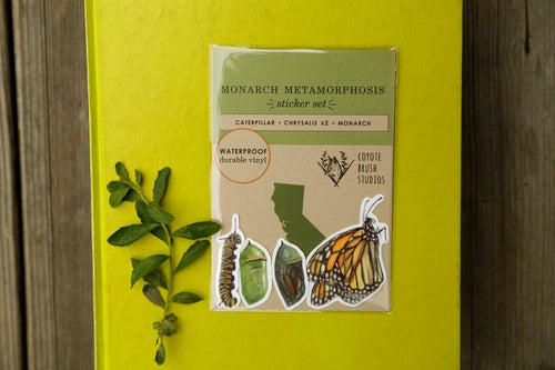 Load image 1 in gallery view. Monarch Metamorphosis- Four Vinyl Stickers