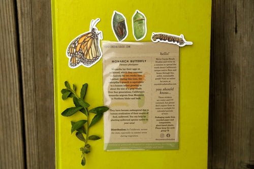 Load image 1 in gallery view. Monarch Metamorphosis- Four Vinyl Stickers