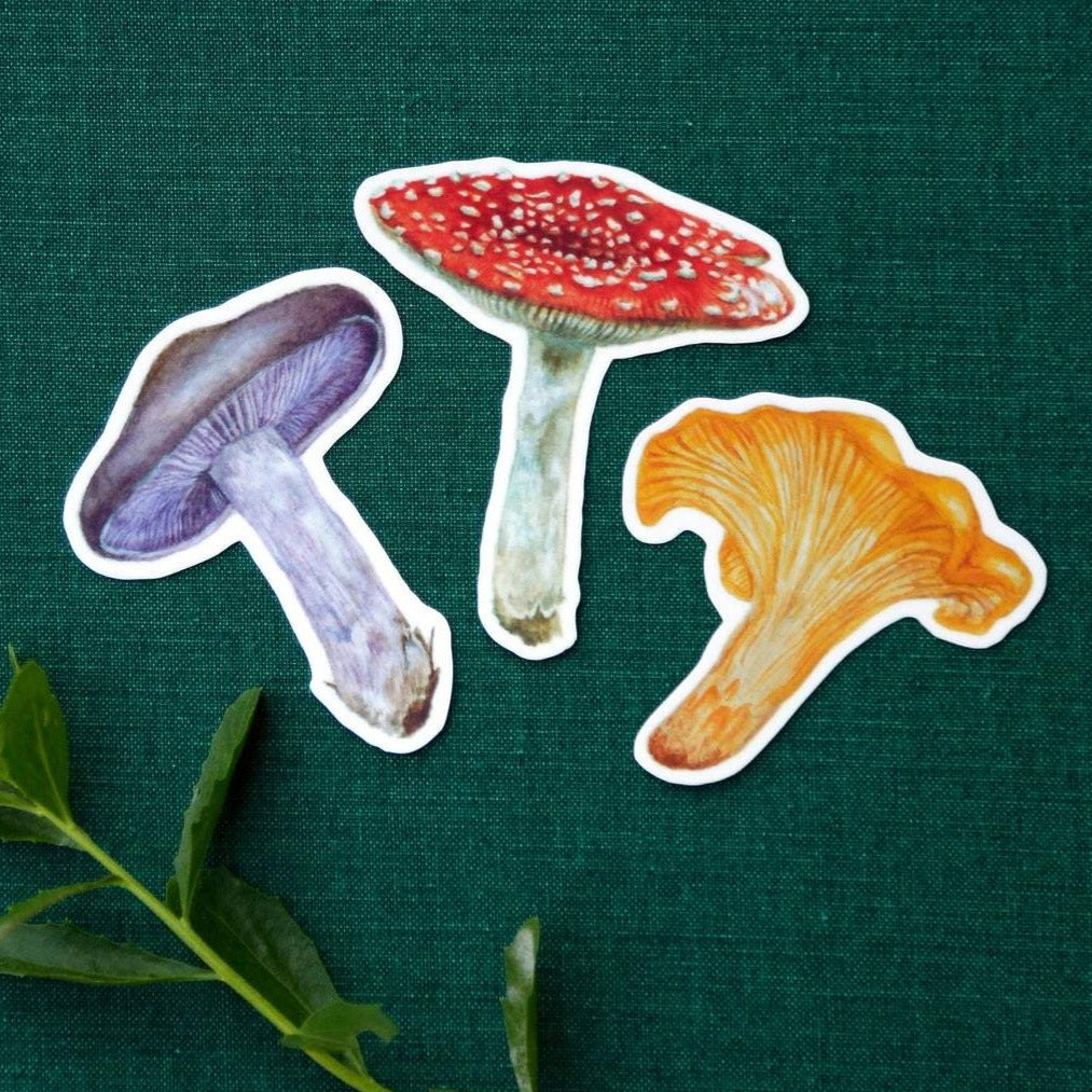 Mushroom Vinyl Stickers: Amanita muscaria, Chanterelle, Blewit