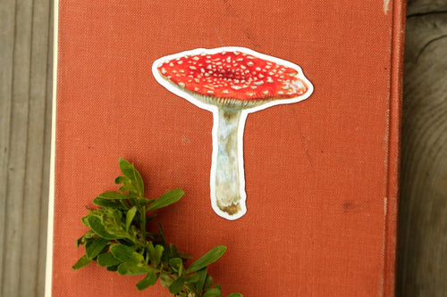 Load image 1 in gallery view. Mushroom Vinyl Stickers: Amanita muscaria, Chanterelle, Blewit