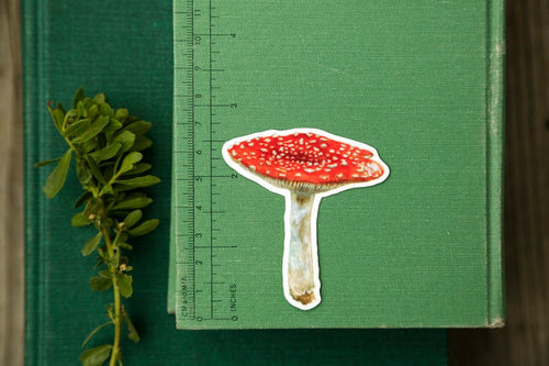 Load image 1 in gallery view. Mushroom Vinyl Stickers: Amanita muscaria, Chanterelle, Blewit