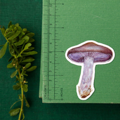 Load image 1 in gallery view. Mushroom Vinyl Stickers: Amanita muscaria, Chanterelle, Blewit
