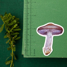 Mushroom Stickers- Three Vinyl Stickers - Amanita muscaria, Chanterelle, Blewit