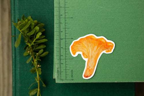 Load image 1 in gallery view. Mushroom Vinyl Stickers: Amanita muscaria, Chanterelle, Blewit