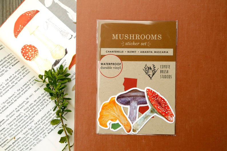 Mushroom Vinyl Stickers: Amanita muscaria, Chanterelle, Blewit