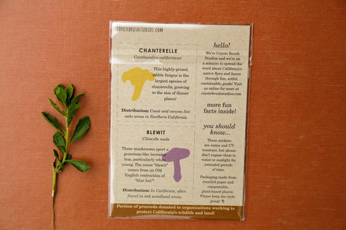 Load image 1 in gallery view. Mushroom Vinyl Stickers: Amanita muscaria, Chanterelle, Blewit