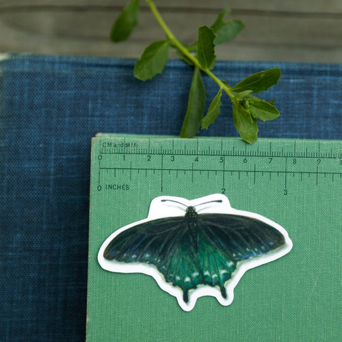 Load image 1 in gallery view. Pipevine Swallowtail Metamorphosis Vinyl Stickers