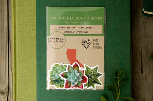 Load image 1 in gallery view. Succulents Vinyl Stickers: Native Dudleya