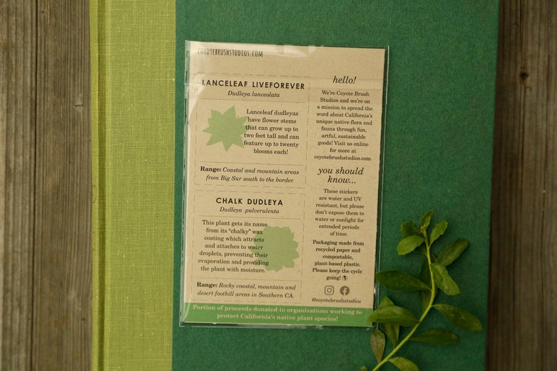 Succulents Vinyl Stickers: Native Dudleya