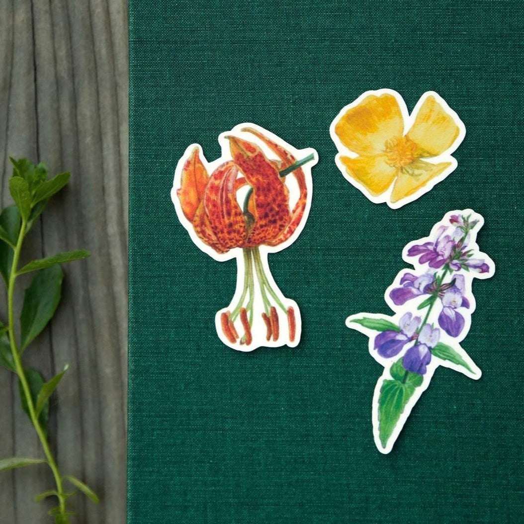 Wildflowers of California Vinyl Stickers: Humboldt's Lily, Bush Poppy, Purple Innocence