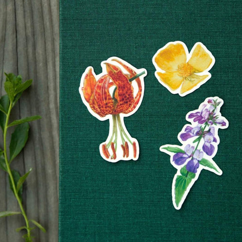 Wildflowers of California Stickers: Three Vinyl Stickers, Humboldt Lily, Bush Poppy, Purple Chinese Houses