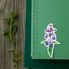 Wildflowers of California Stickers: Three Vinyl Stickers, Humboldt Lily, Bush Poppy, Purple Chinese Houses