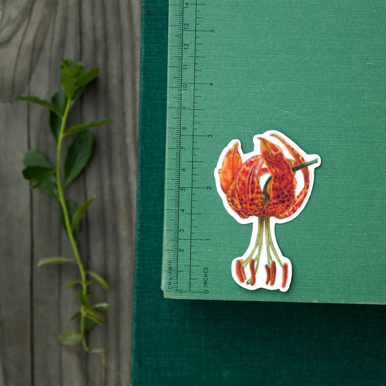 Wildflowers of California Vinyl Stickers: Humboldt's Lily, Bush Poppy, Purple Innocence