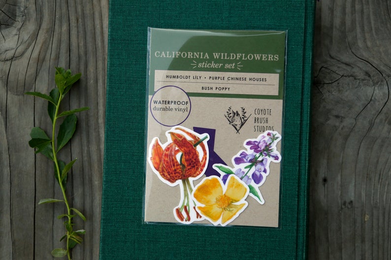 Wildflowers of California Vinyl Stickers: Humboldt's Lily, Bush Poppy, Purple Innocence