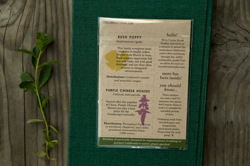 Load image 1 in gallery view. Wildflowers of California Vinyl Stickers: Humboldt's Lily, Bush Poppy, Purple Innocence